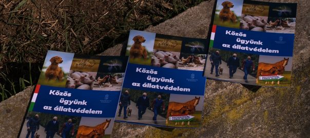 Európa egyik legszigorúbb állatvédelmi törvénye lépett életbe januártól Magyarországon